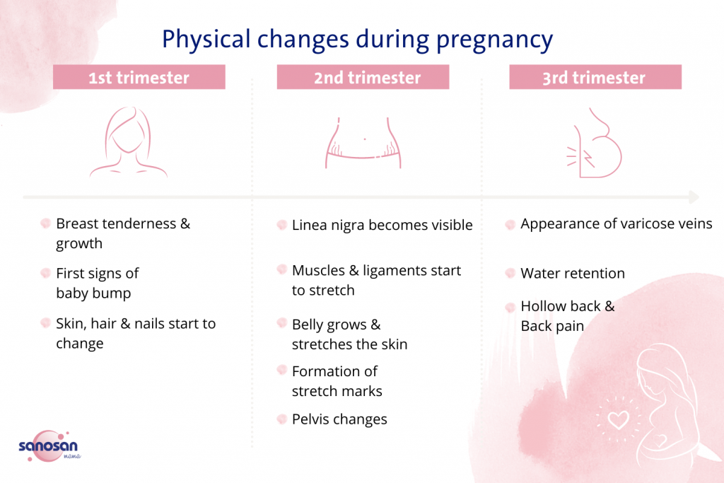 physical-changes-during-pregnancy-sanosan