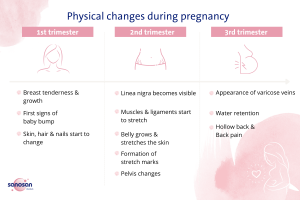 infographics on physical changes during pregnancy