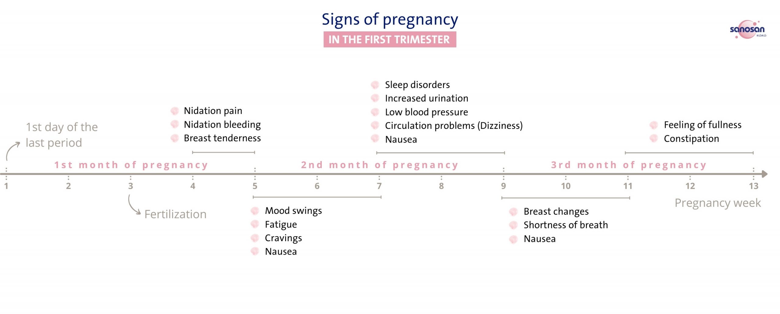 signs-of-pregnancy-in-the-first-trimester-infographic