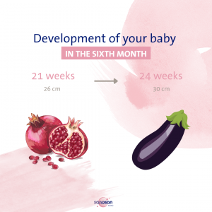 Development of the Baby during 6th month