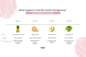 infografic on the development of the baby during the ninth month of pregnancy